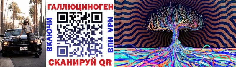 Галлюциногенные грибы Psilocybe  Купить где  Ликино-Дулёво 